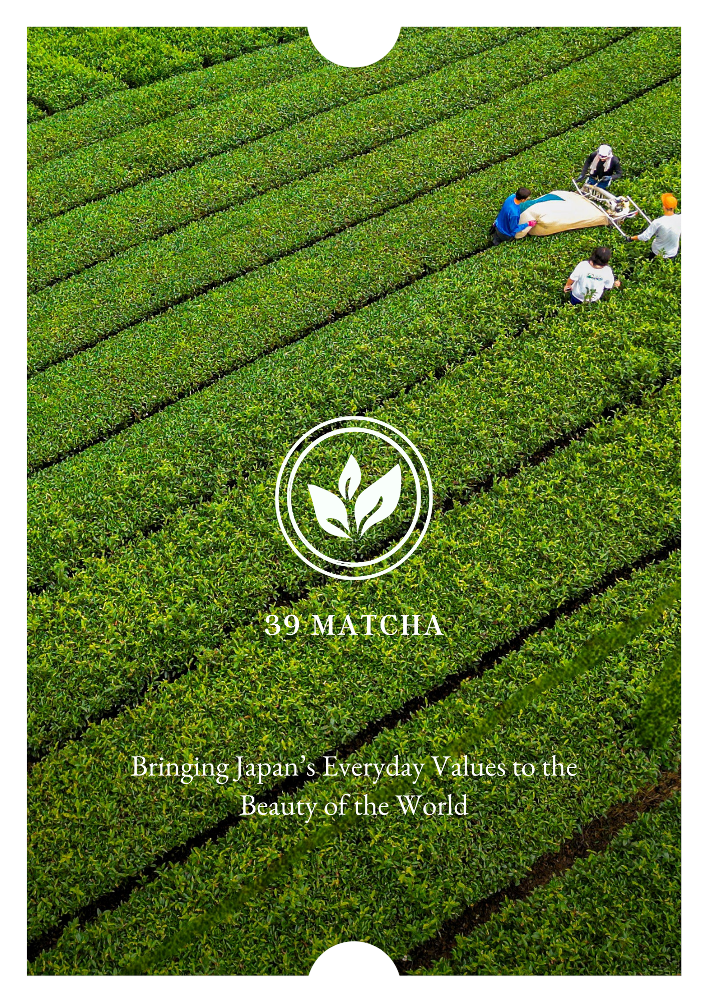 39 Matcha - Bringing Japan's Everyday Values to the Beauty of the World