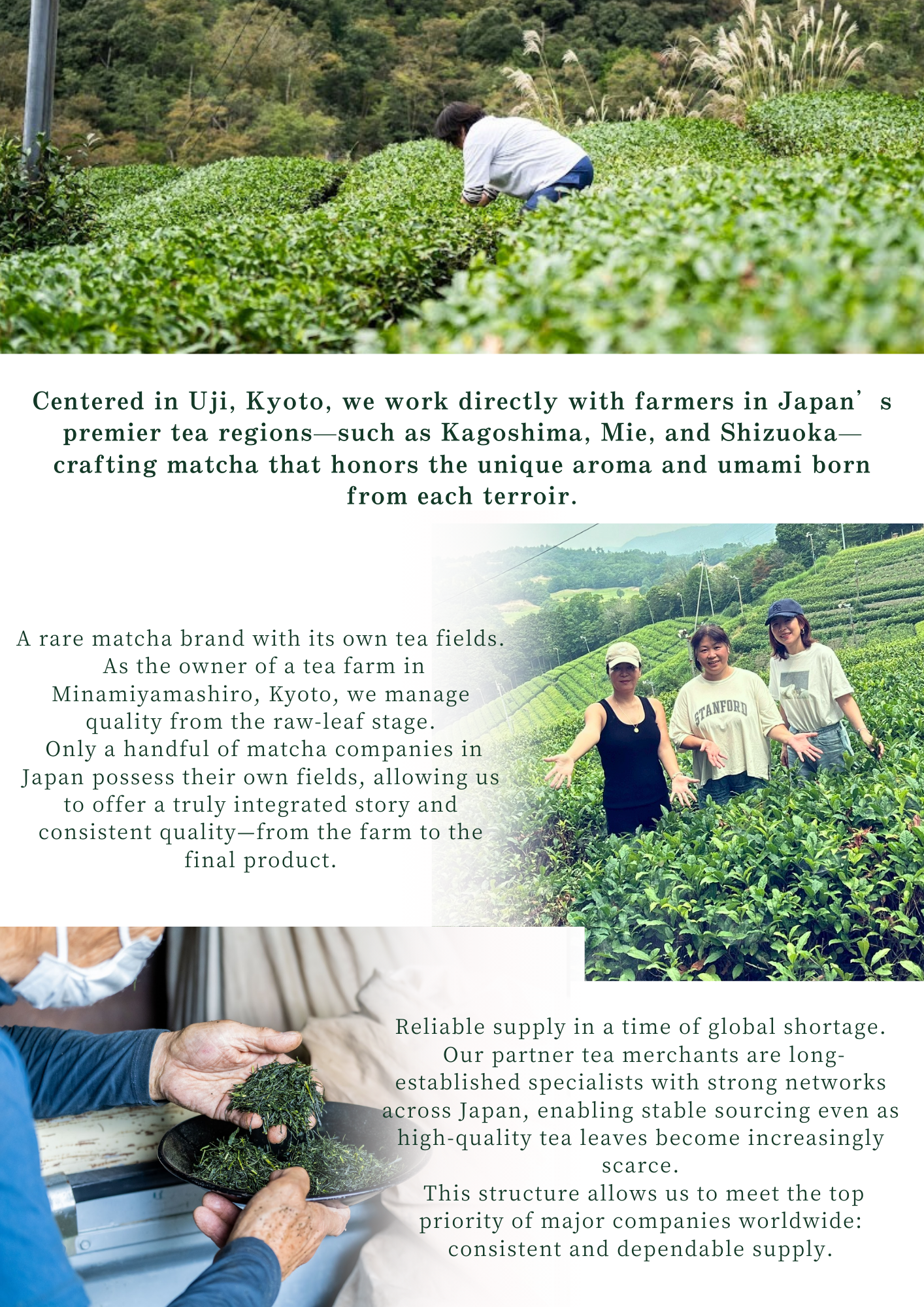 About 39 Matcha - Working directly with farmers in Japan's premier tea regions