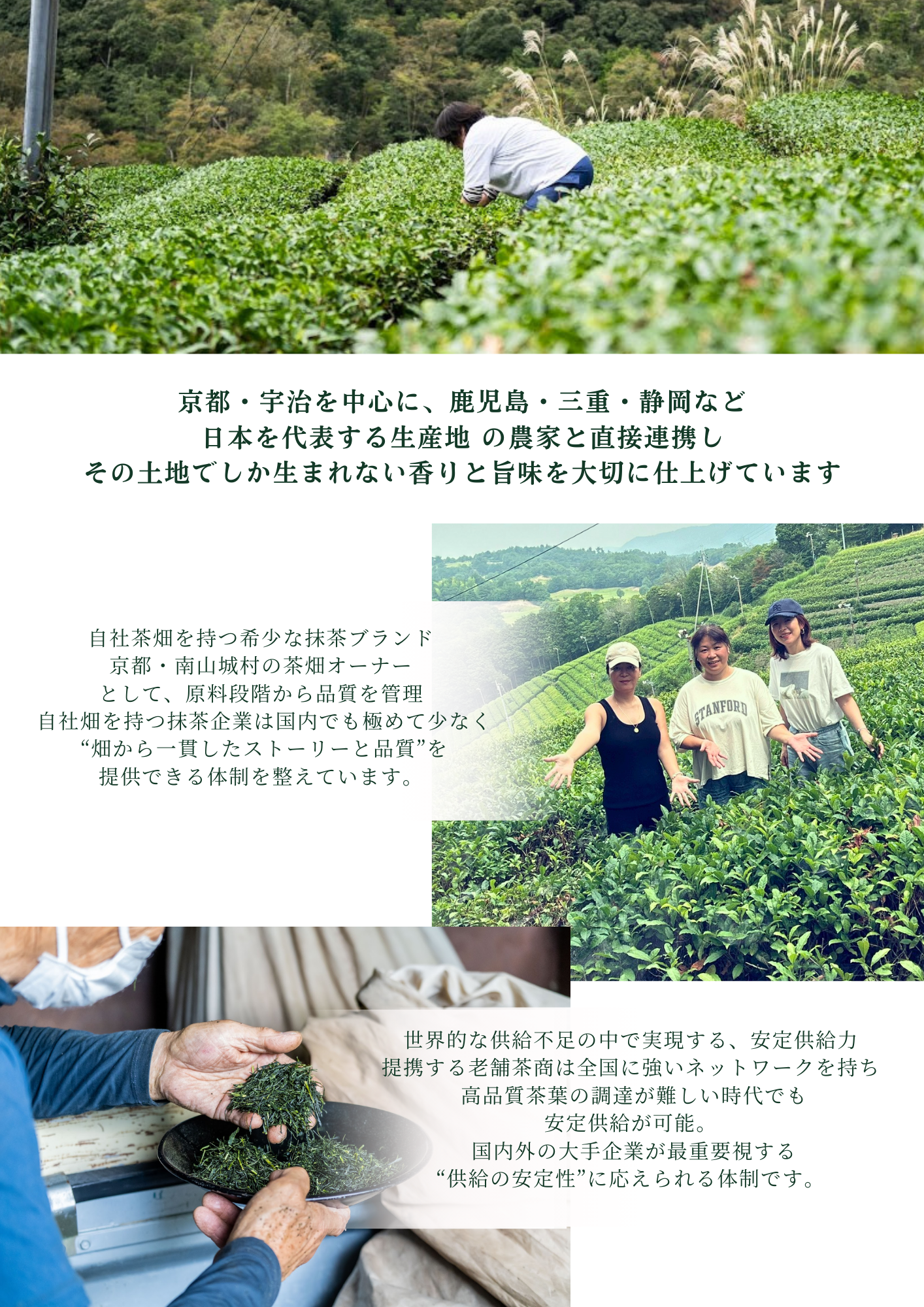 39 抹茶について - 日本の主要な茶産地の農家と直接協力